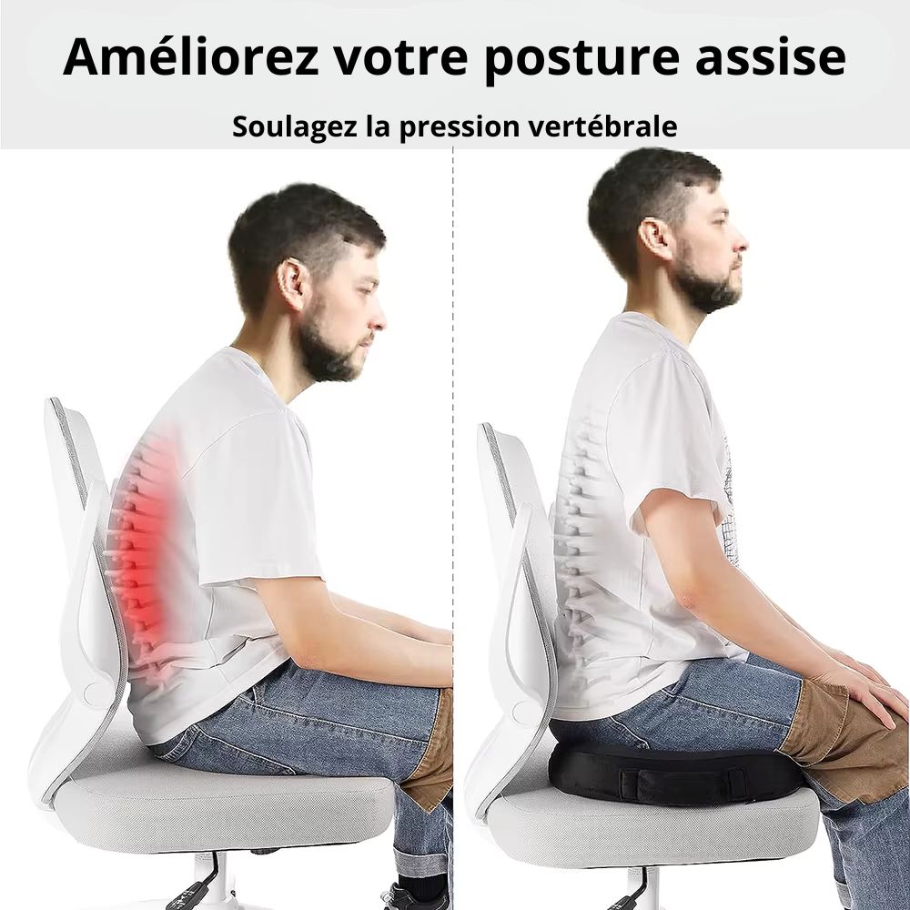 Coussin Lombaire Ergonomique Noir Ou Gris