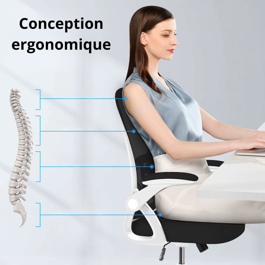 Chaise De Bureau Ergonomique Gamme De Couleurs