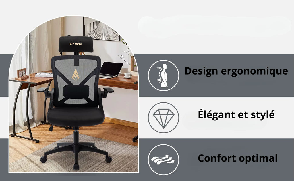 Chaise De Bureau Ergonomique Gris Ou Noir