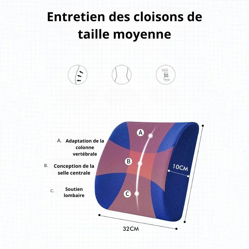 Coussin Lombaire Ergonomique Bleu/ Gris Ou Noir